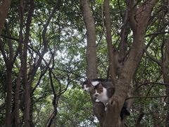 -南京市江宁方山