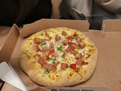 -达美乐比萨(墨玉南路店)