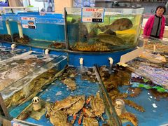-大连湾旭日饭店(大连湾店)