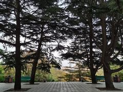 -大连植物园