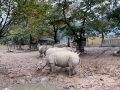 -西安秦岭野生动物园