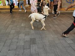 -新佳丽时尚广场