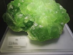 -湖南省地质博物馆