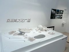 -深圳市当代艺术与城市规划馆