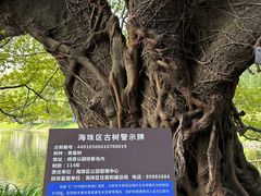 -晓港公园