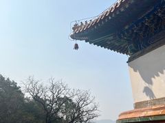 -颐和园