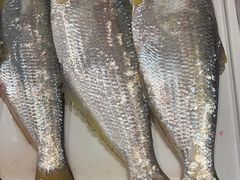 -龙宴海鲜城(经中路店)