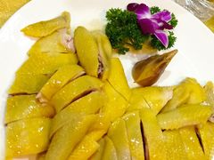 白切鸡-汇景花园酒家(基立下道店)