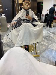 -In Style造型