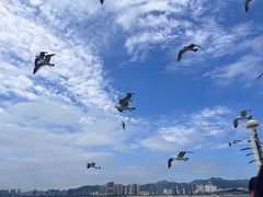 -刘公岛景区