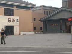 -茯茶镇