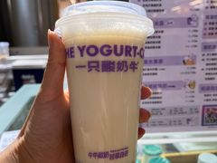 -一只酸奶牛(春熙路店)