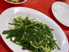 -新峰肉骨茶