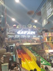 -卡通尼·Safari非洲探索乐园·生日会(金桥国际商业广场店)