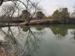 -天禄堂西溪庄园