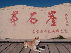 -苏木山森林公园