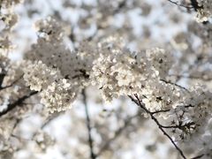 -龙美术馆(西岸馆)