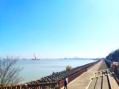 -上海滨江森林公园
