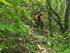 -云岫谷游猎自然风景区