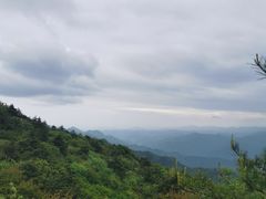 -王顺山国家森林公园