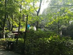 -岳麓山风景名胜区