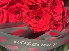 -ROSEONLY诺誓(广州K11店)