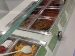 -Salud撒露欧洲冻酸奶(蓝色港湾店)