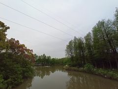 -上海海湾国家森林公园