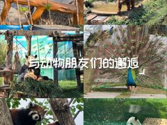 -无锡动物园·太湖欢乐园
