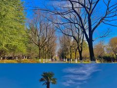 -白塘生态植物园