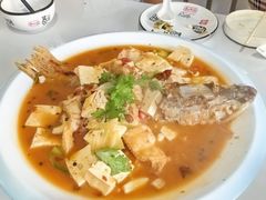 -煲来饱去冷水鱼