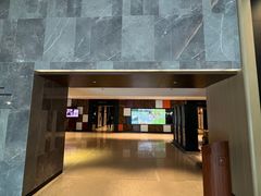 -新加坡瑞士史丹福酒店