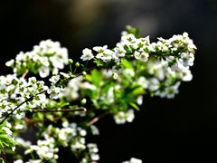 -中国茶叶博物馆(双峰馆区)