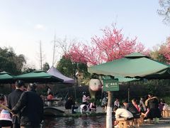 -成飞公园