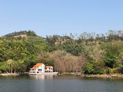 -深圳仙湖植物园
