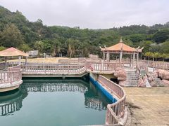 -广东惠东海龟国家级自然保护区