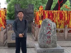 -大槐树寻根祭祖园