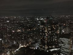 -东京都厅舍