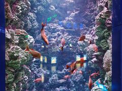 -海合安青岛极地海洋公园