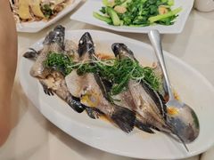 -渔乡米坊(虎门店)