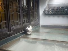 -猫的天空之城概念书店(杭州南宋御街店)