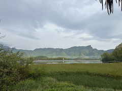 -大九湖