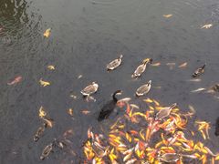 -青岛森林野生动物世界