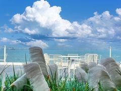 -北戴河转鱼·炒螃蟹酱餐厅