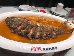 -阿五黄河大鲤鱼(英协路店)