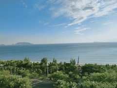 -三亚湾海居铂尔曼度假酒店