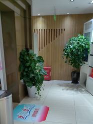 点击看大图 -重庆星宸整形美容医院