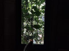-斯多格书乡(北京大学畅春园店)