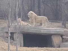 -沈阳森林动物园