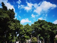 -荔湾湖公园